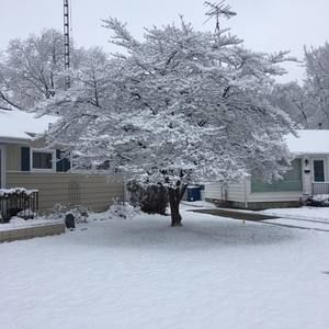 Meet your Posher, Diane